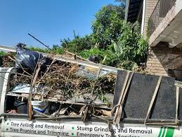 Best Yard Waste Removal  in Crawfordsville, IN